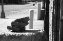 DSC_6237