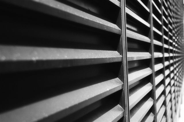 _DSC7193
