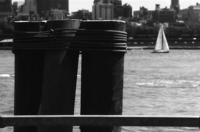 _DSC7217