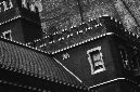 _DSC7127