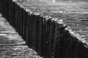 _DSC7170