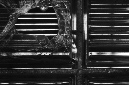 _DSC7195