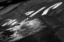 _DSC7280