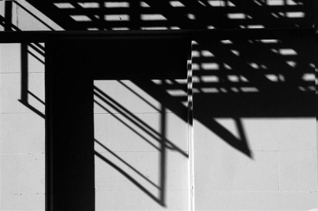 _DSC5540%20(1)