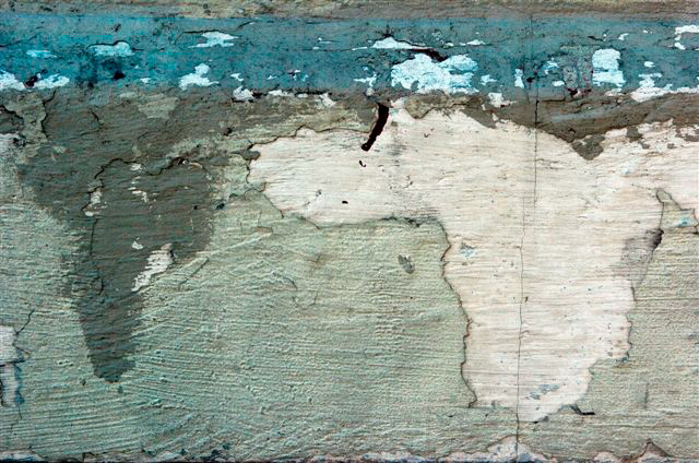_DSC5546%20(1)