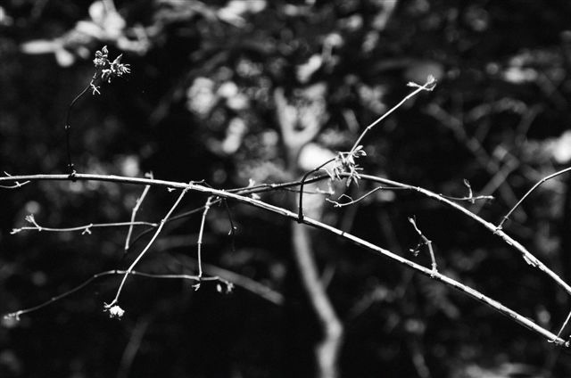 _DSC5797%20(1)