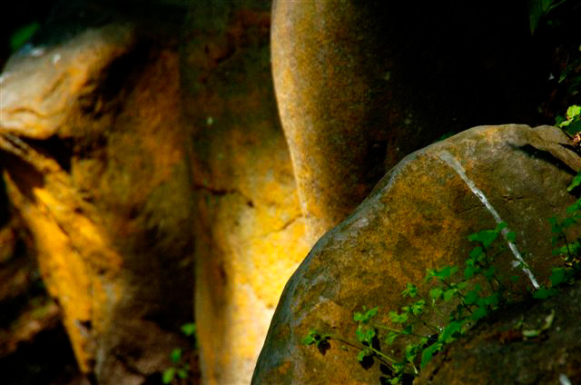 _DSC5802%20(1)