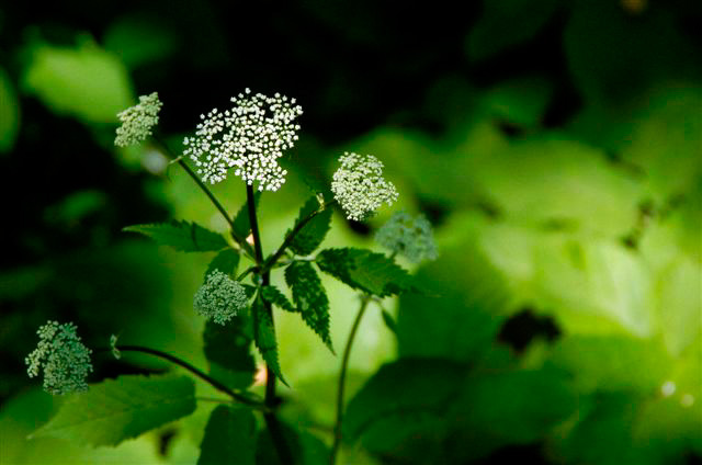 _DSC5814%20(1)