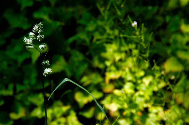 _DSC5825%20(1)