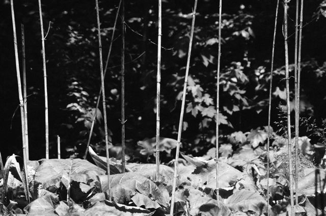 _DSC5841%20(1)