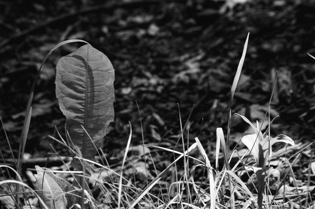 _DSC5873%20(1)