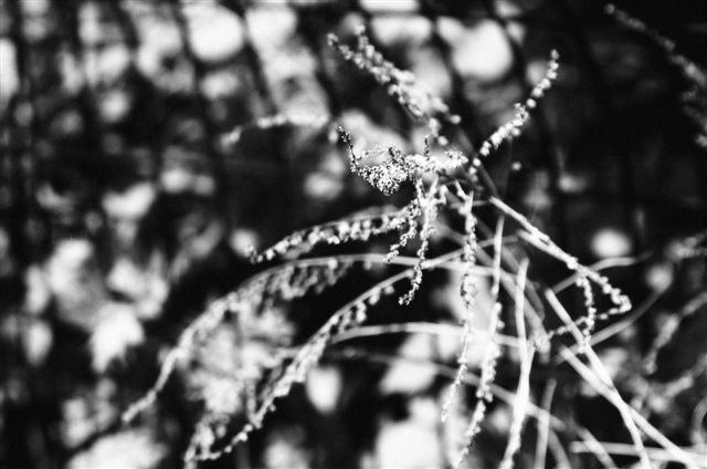 _DSC5918%20(1)