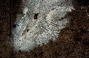 _DSC5497%20(1)