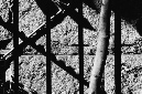 _DSC5502%20(1)