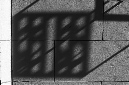 _DSC5515%20(1)