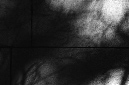 _DSC5521%20(1)