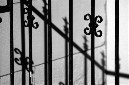 _DSC5528%20(1)