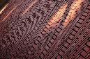_DSC5534%20(1)