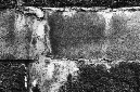 _DSC5552%20(1)