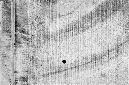 _DSC5768%20(1)