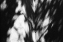 _DSC5782%20(1)