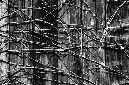 _DSC5788%20(1)