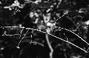 _DSC5797%20(1)