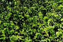 _DSC5806%20(1)