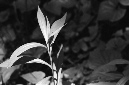_DSC5808%20(1)