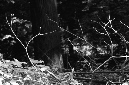 _DSC5821%20(1)