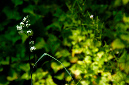 _DSC5825%20(1)