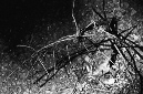_DSC5835%20(1)