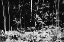 _DSC5841%20(1)