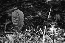 _DSC5873%20(1)