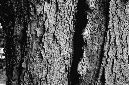 _DSC5897%20(1)