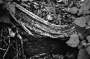 _DSC5899%20(1)