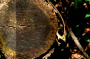 _DSC5907%20(1)