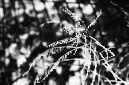 _DSC5918%20(1)