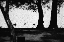 _DSC5922%20(1)