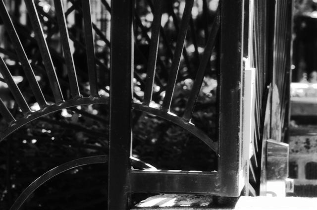 _DSC2581%20(1)