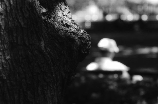 _DSC2628%20(1)