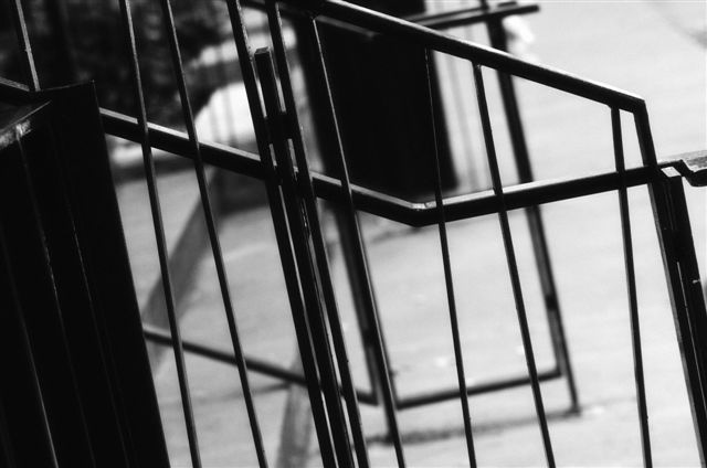 _DSC2633%20(1)