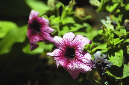 _DSC2547%20(1)