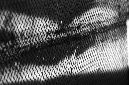 _DSC2558%20(1)