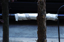 _DSC2559%20(1)