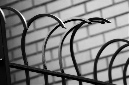 _DSC2562%20(1)
