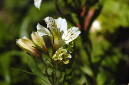 _DSC2564%20(1)
