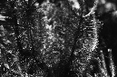 _DSC2591%20(1)