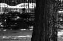 _DSC2600%20(1)