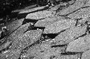 _DSC2627%20(1)